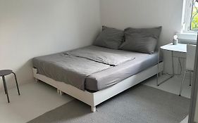 Casa More Gray